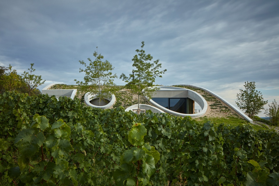 Gurdau Winery by Ales Fiala
