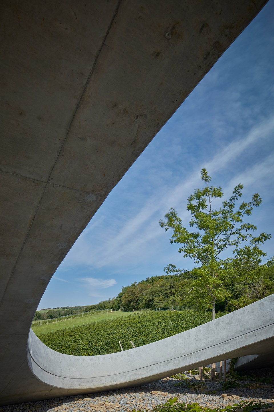 Gurdau Winery by Ales Fiala