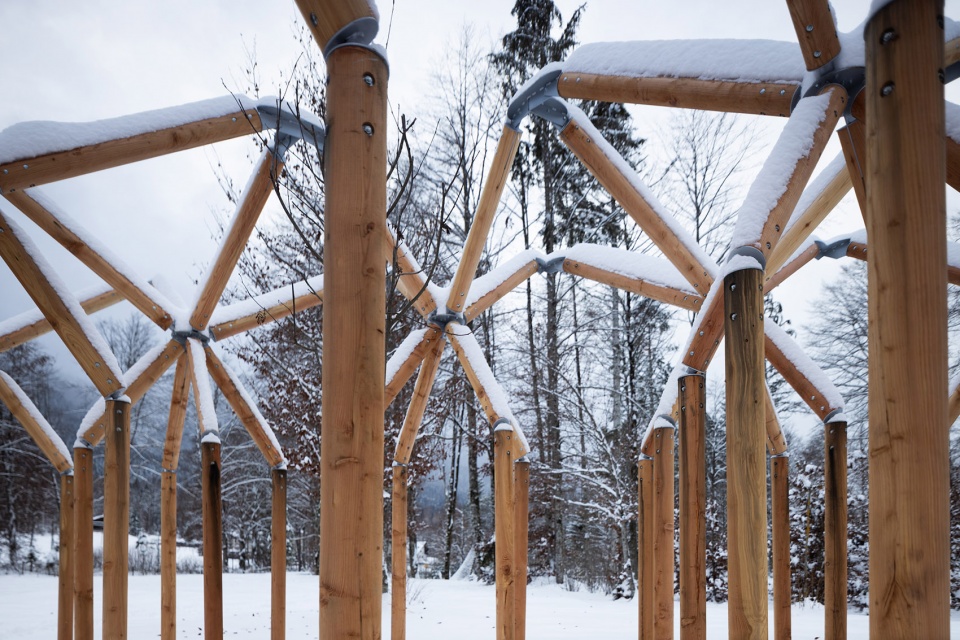 rebirth of the dancing forest by rocco design architects