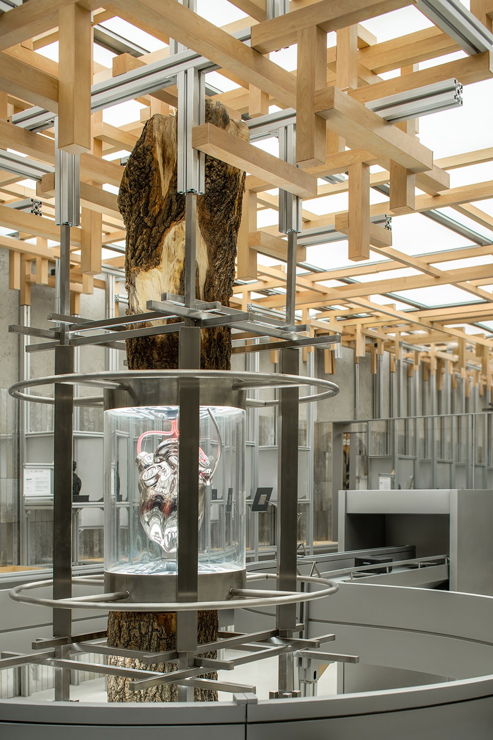 BABAMA Concept store by ATMOSPHERE Architects