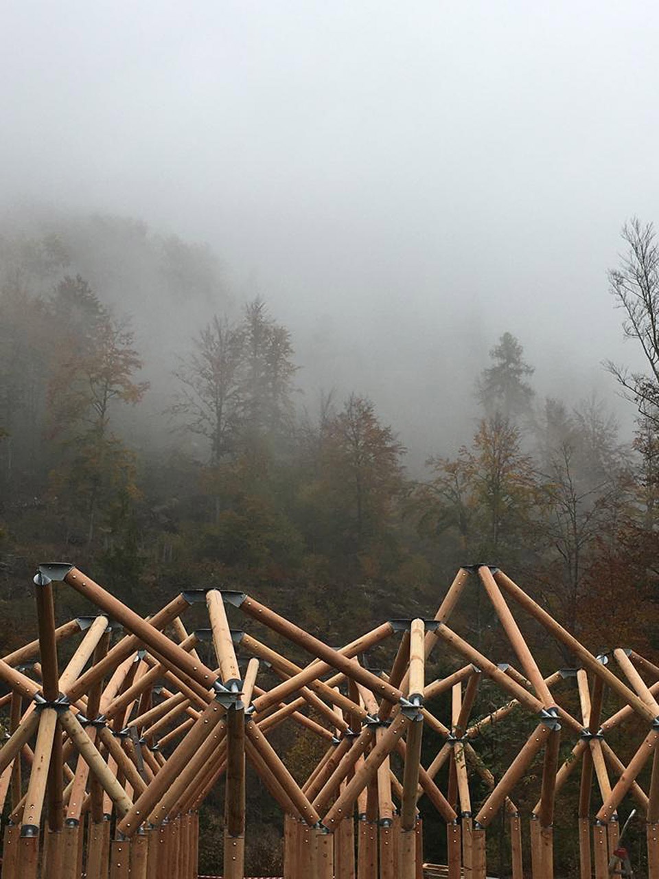 rebirth of the dancing forest by rocco design architects
