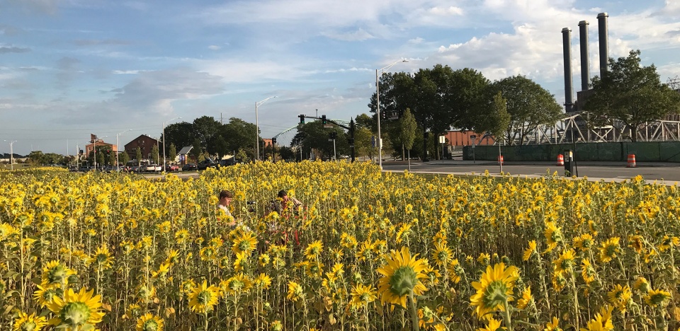 2022 asla general design award of honor 10000 suns highway to park project design under sky
