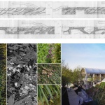 第十一届江苏省园艺博览会主展馆区景观设计，南京 / 中国城市建设研究院有限公司无界景观工作室