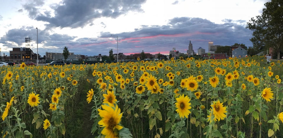 2022 asla general design award of honor 10000 suns highway to park project design under sky