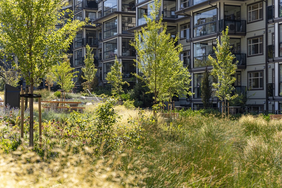 Goldenview Park PMG Landscape Architects