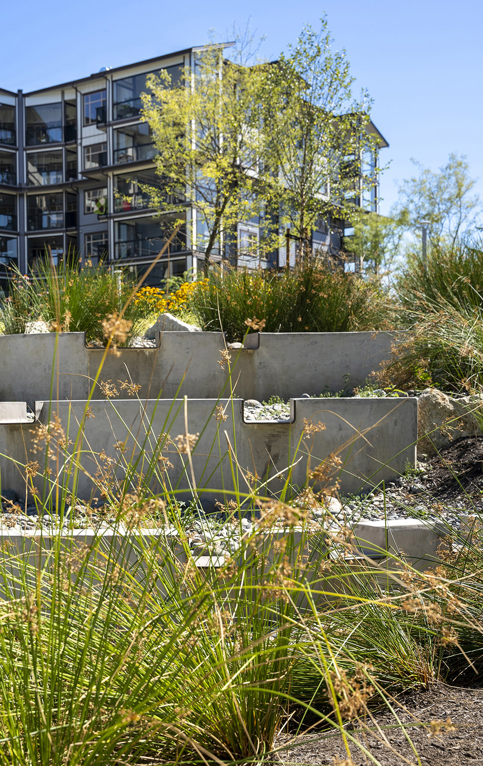 Carvolth Integrated Open Space / Goldenview Park by PMG Landscape