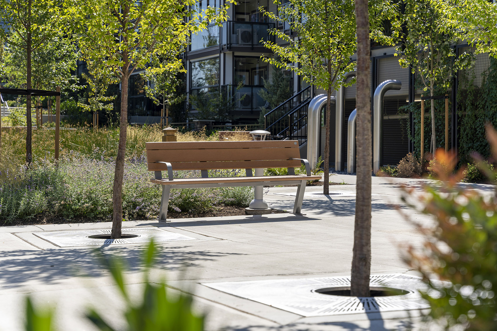 Carvolth Integrated Open Space / Goldenview Park by PMG Landscape