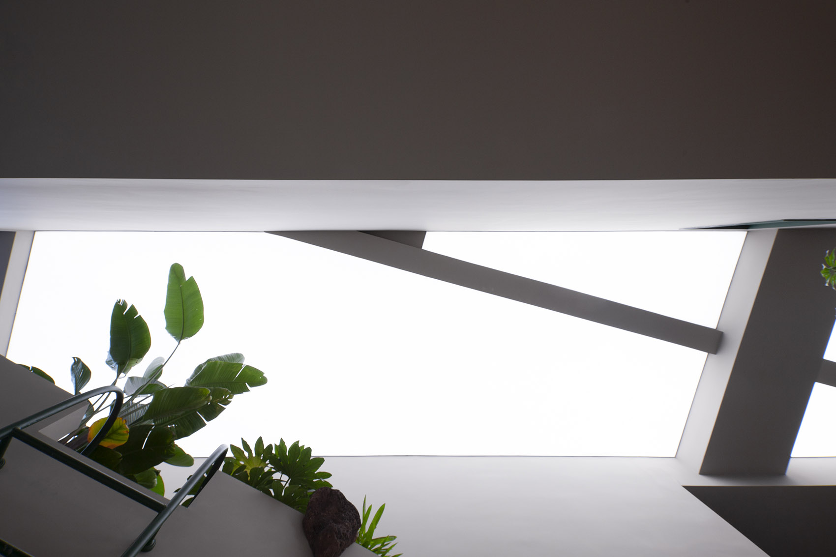 OPEN THE DOOR Art bookstore by WILD DESIGN X SIX ONE ZERO 谷德设计网