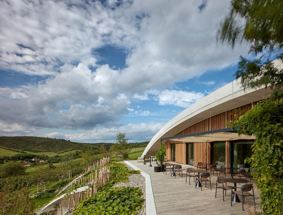 Gurdau Winery by Ales Fiala