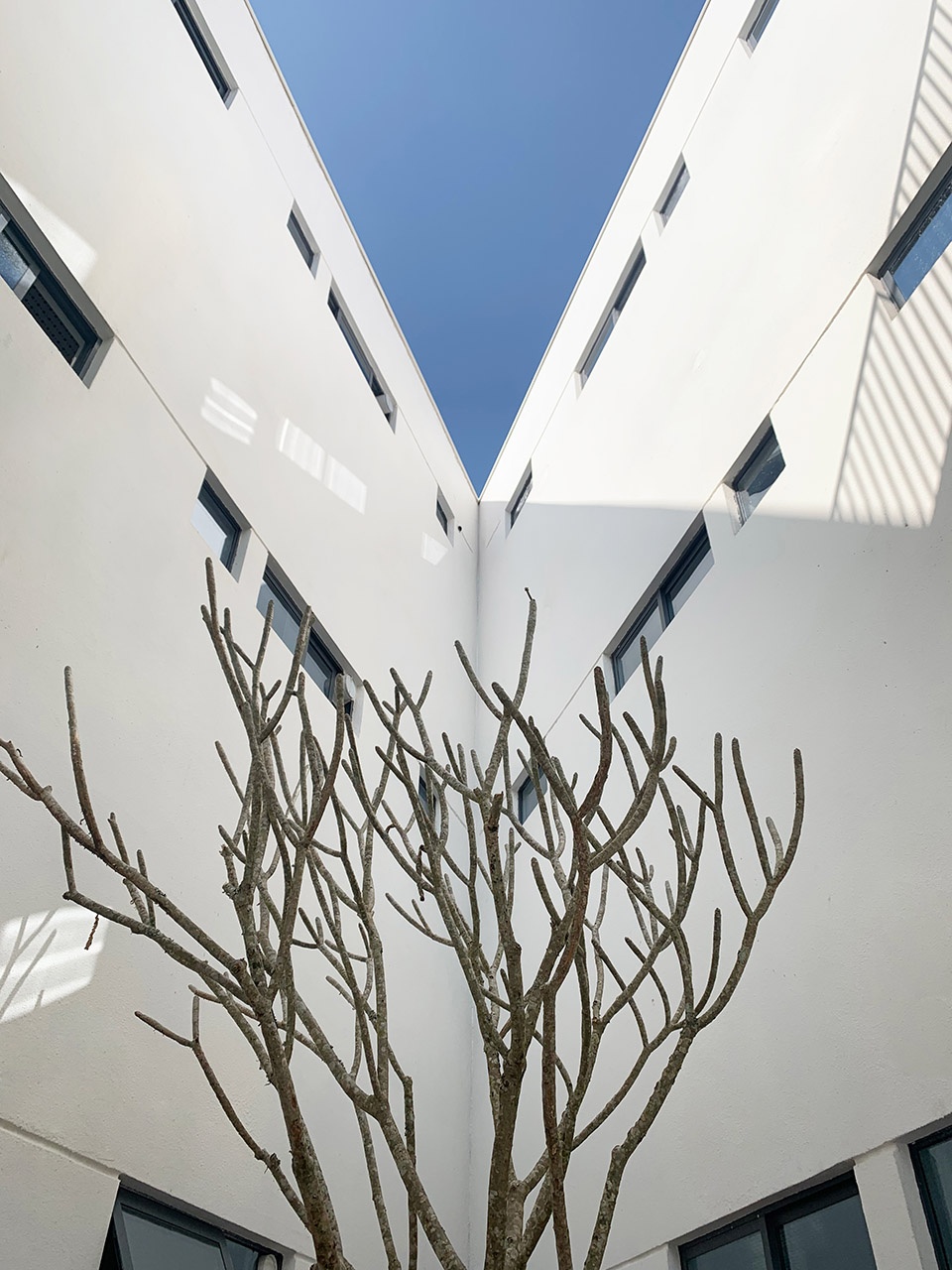 The southern branch of the Simao District Kindergarten by Tao Zhi Studio Architectural Design and Research Institute of SCUT