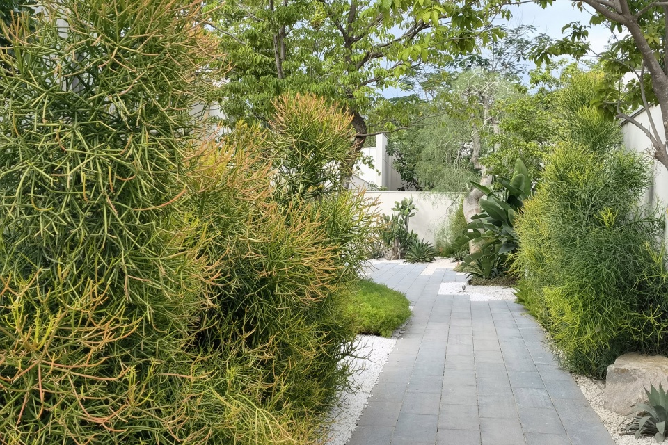 aranya sanya south garden by zscape