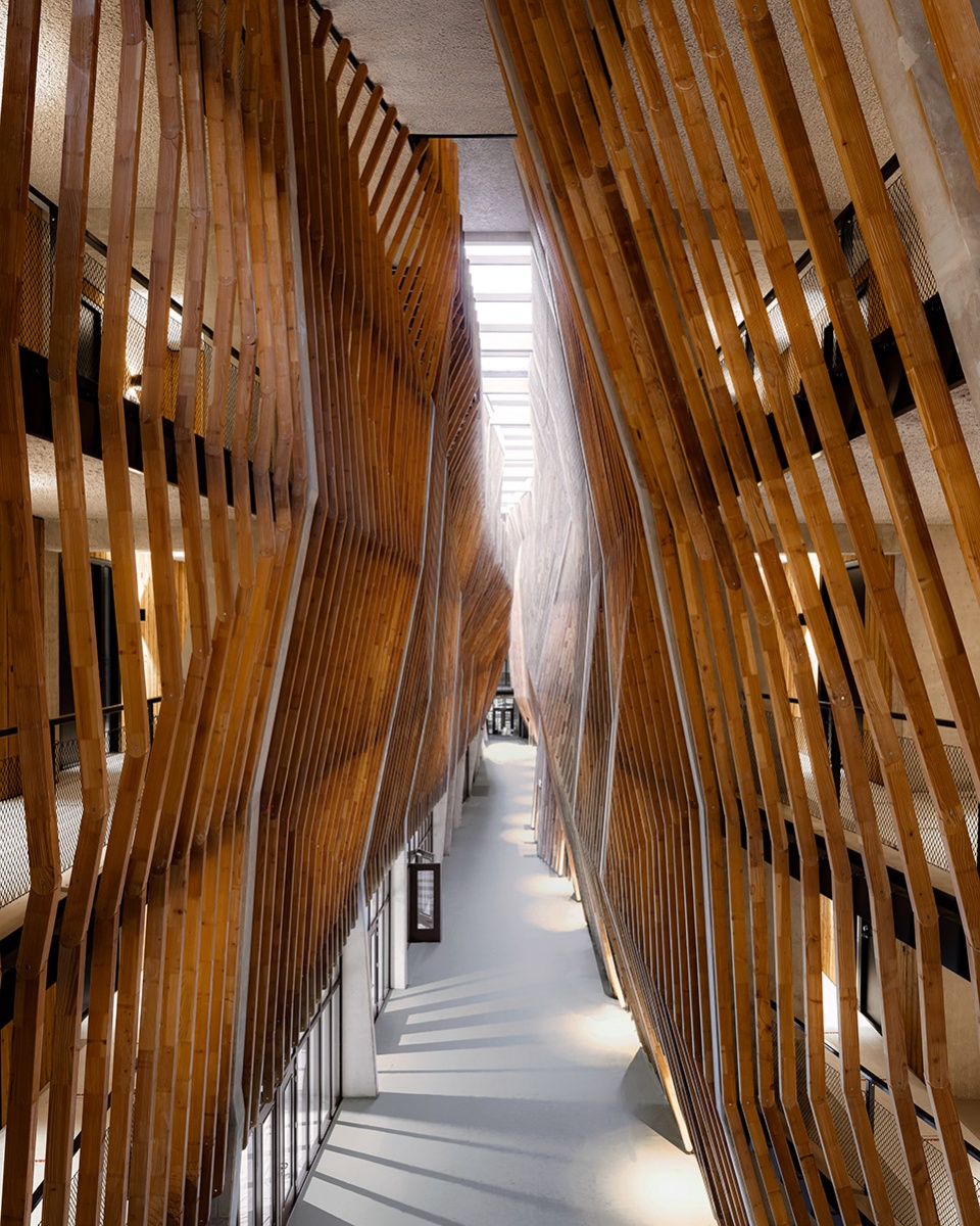 jonas building by orange architects