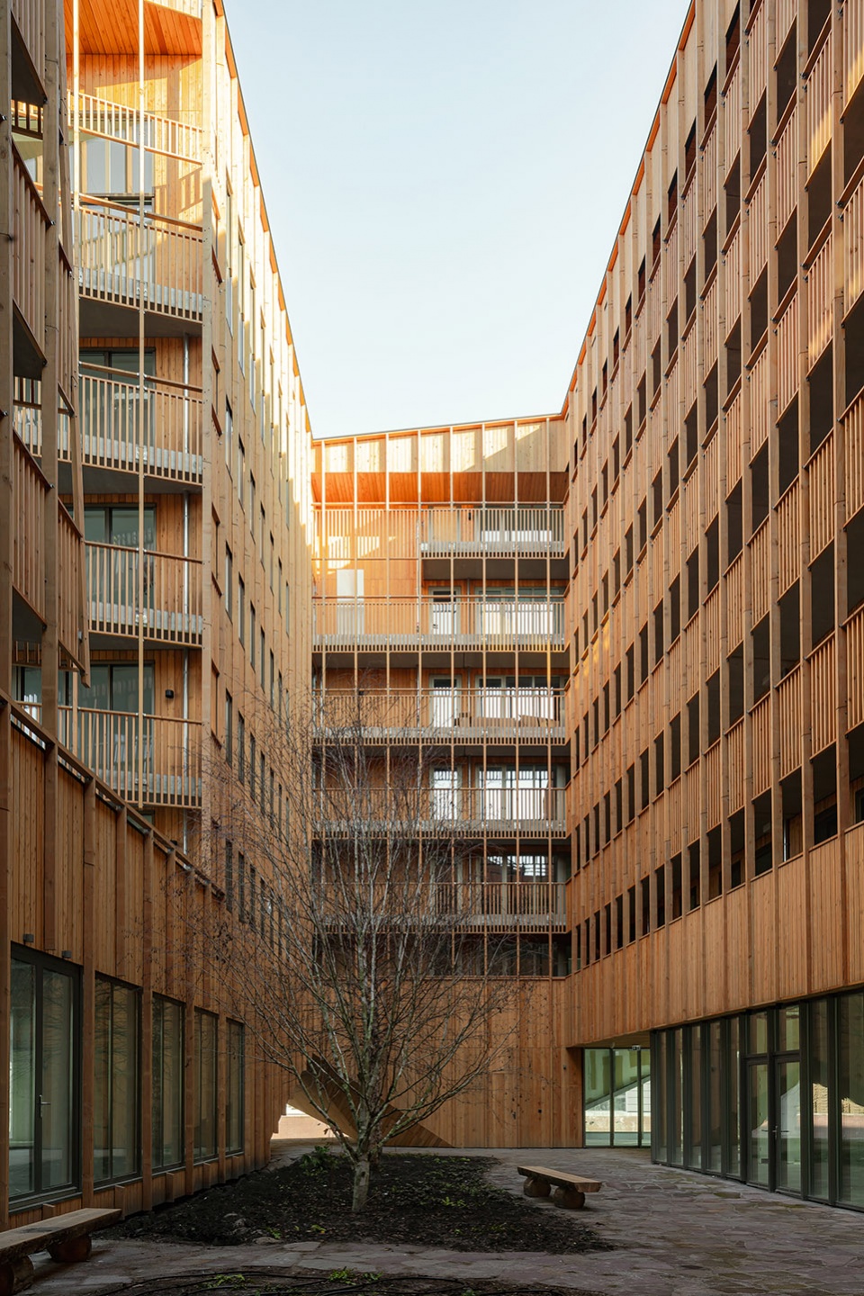 jonas building by orange architects