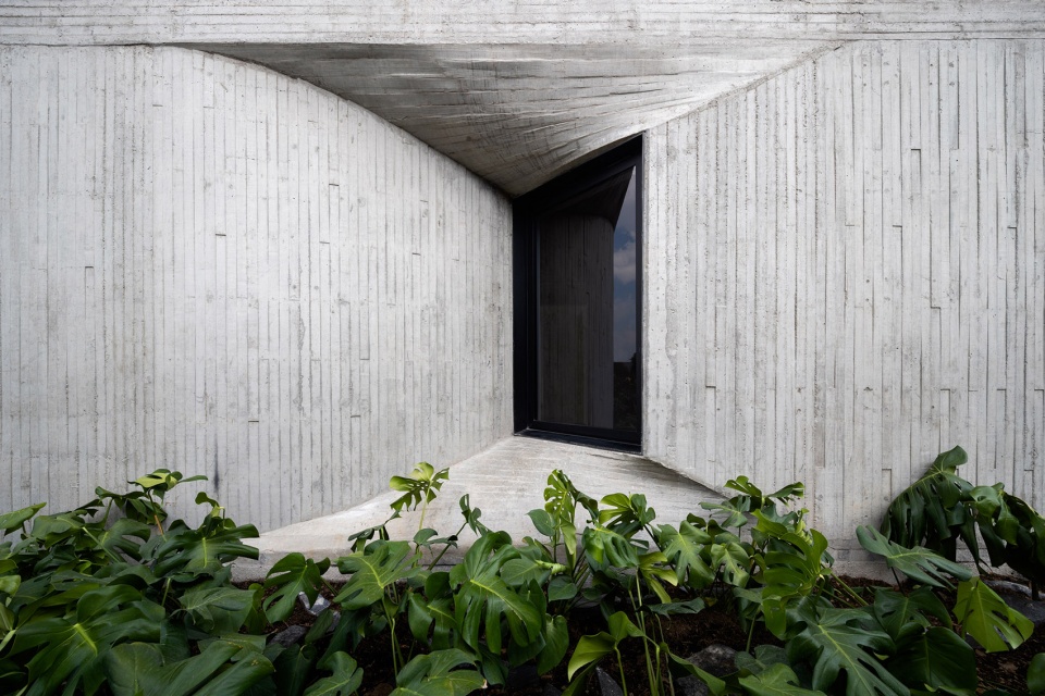DL1310 by Michan Architecture