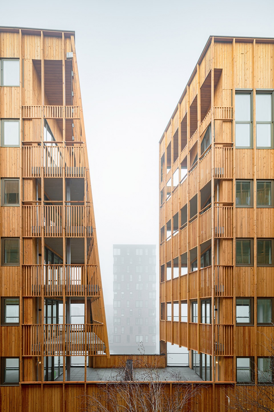 jonas building by orange architects