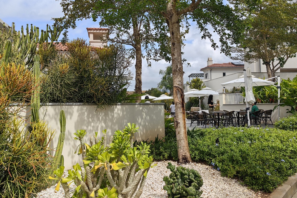 aranya sanya south garden by zscape
