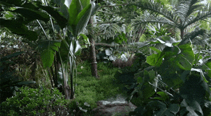 Botanical Garden of the Jiaxing Seed Art Center China by MOOOONS fpt