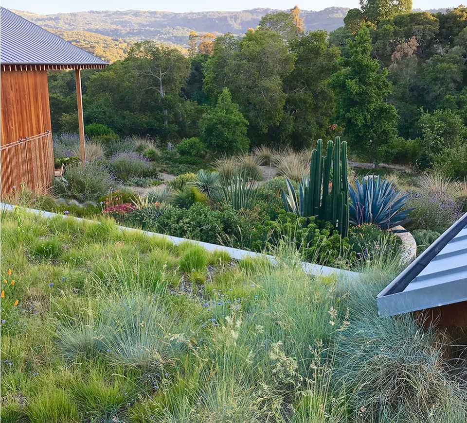 2022 asla residential design award of honor coast ridge residence scott lewis landscape architecture