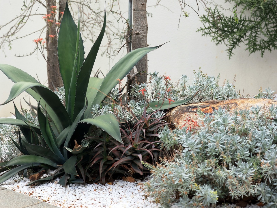 aranya sanya south garden by zscape