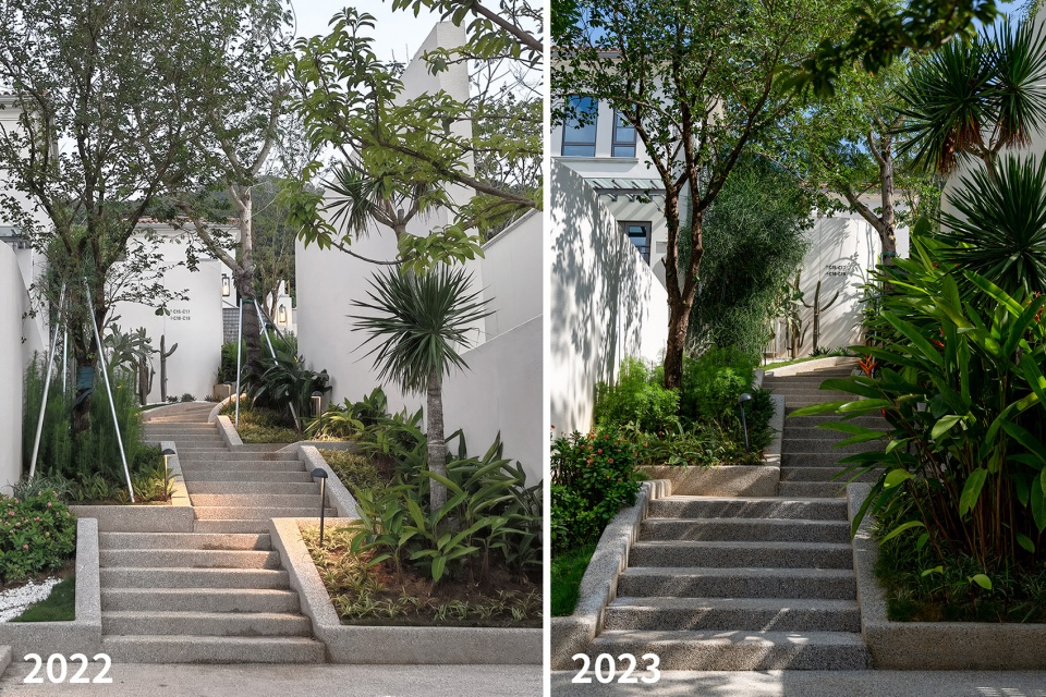 aranya sanya south garden by zscape