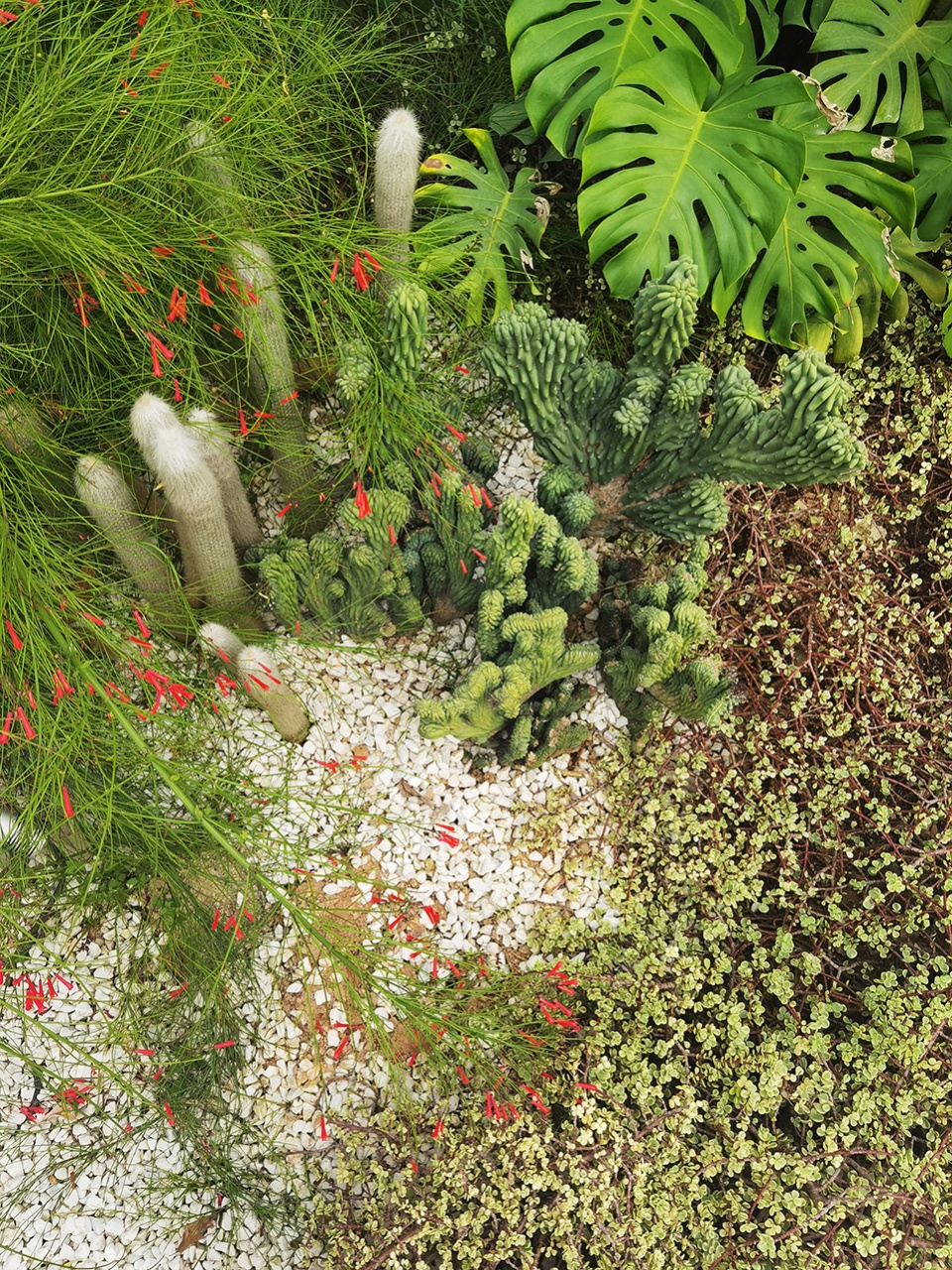 aranya sanya south garden by zscape