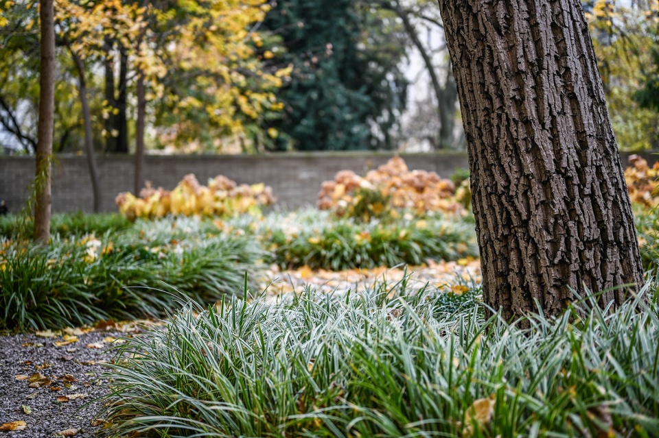 A Quiet Place by Atelier Partero