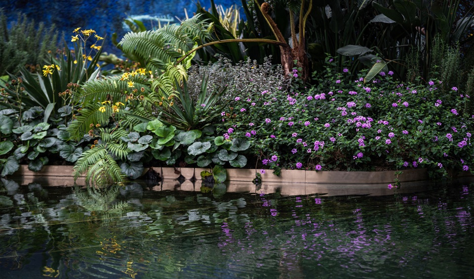 chengdu chenjia jiabaidao by wtd weitu