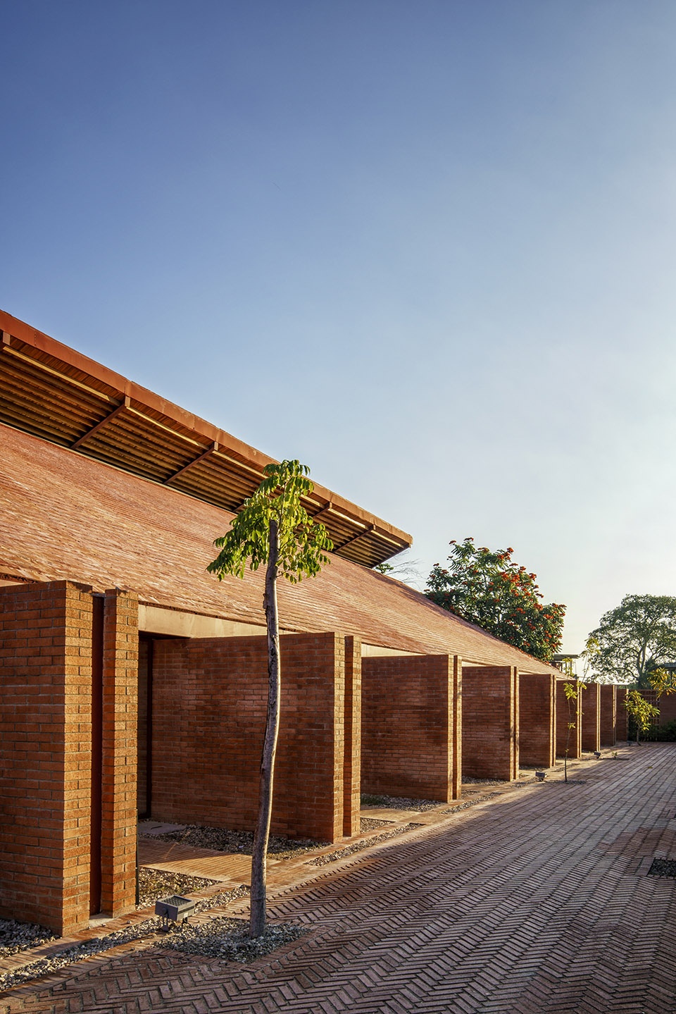 Casa de Musica Colectivo C733