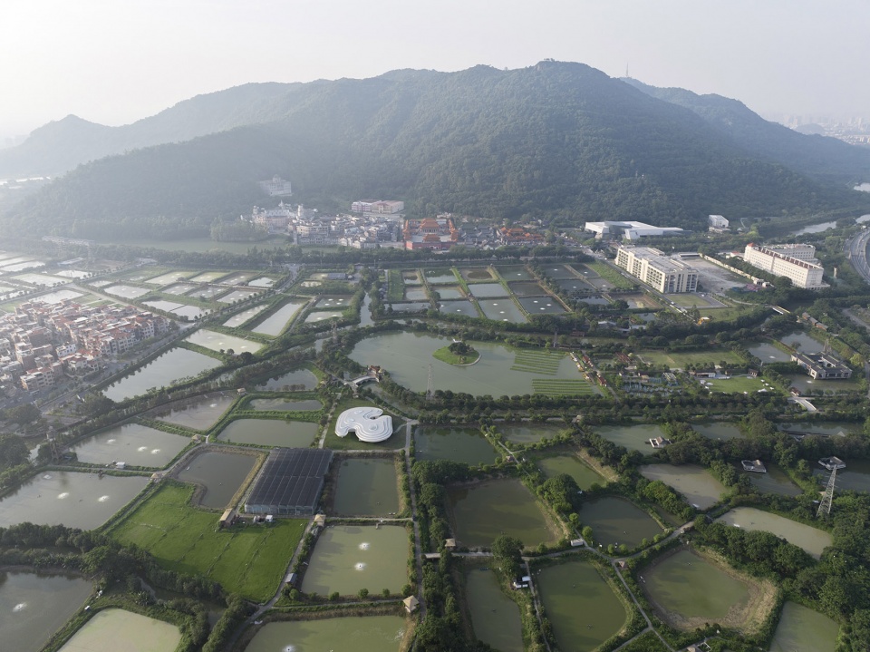 the ripple nanhai district freshwater fish industry technology demonstration and promotion center by wutopia lab
