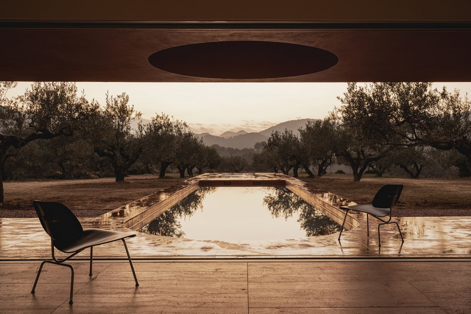 the olive grove house by balzar arquitectos