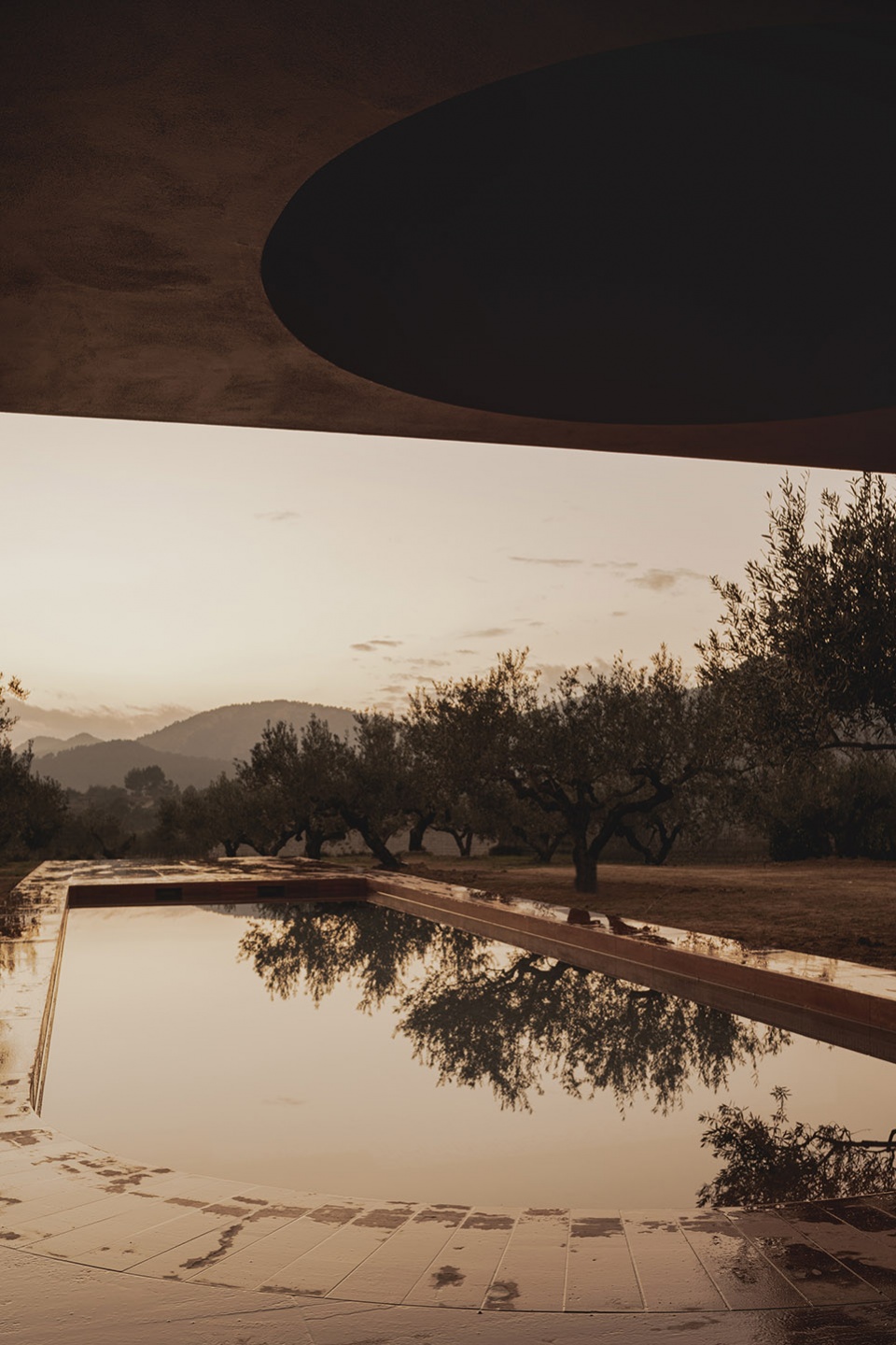 the olive grove house by balzar arquitectos