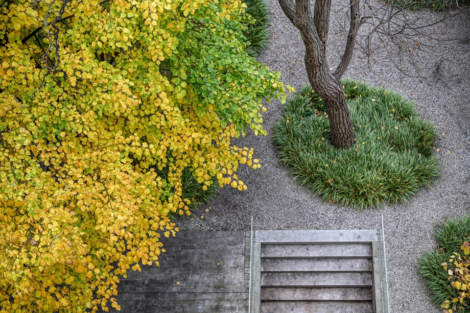 A Quiet Place by Atelier Partero