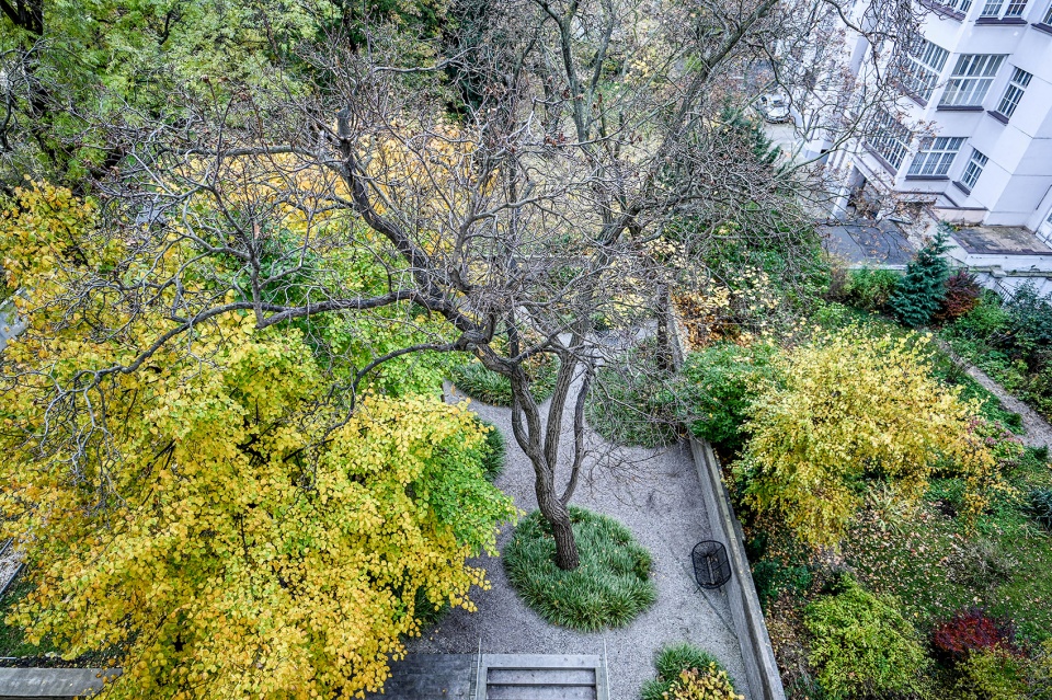 A Quiet Place by Atelier Partero