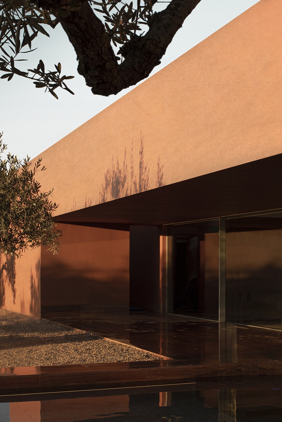 the olive grove house by balzar arquitectos