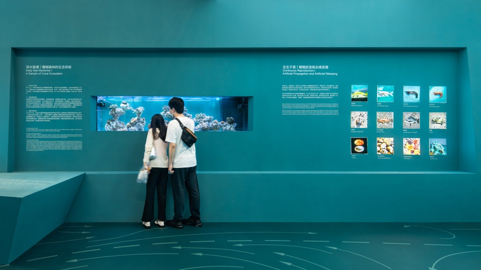 shenzhen fisheries development planning and construction exhibition zigeng wang