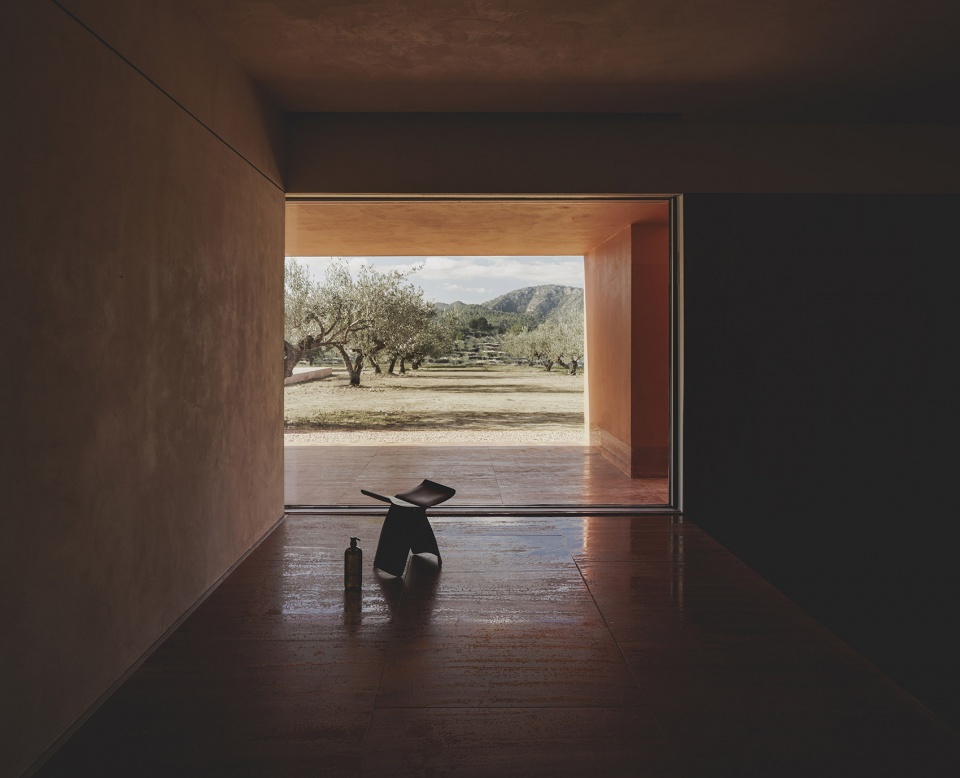 the olive grove house by balzar arquitectos