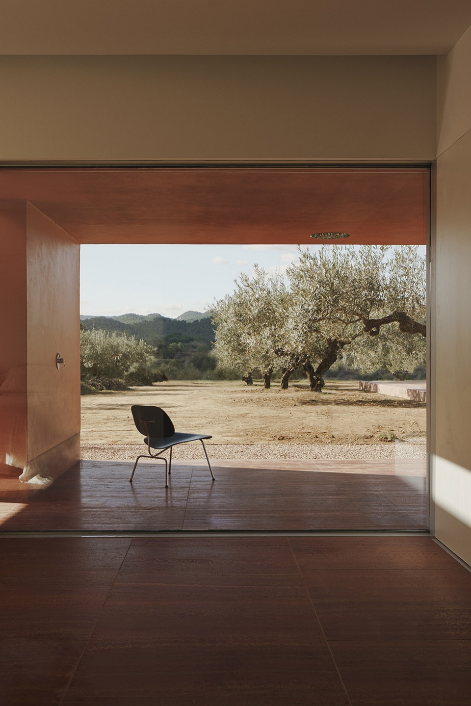the olive grove house by balzar arquitectos