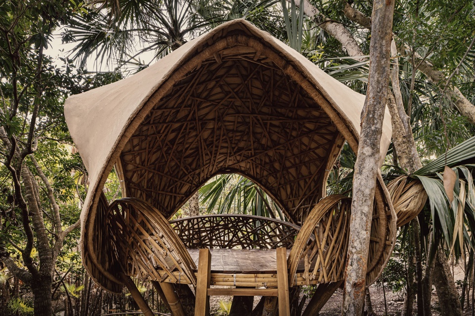 Casa Tropical by Jaque Studio
