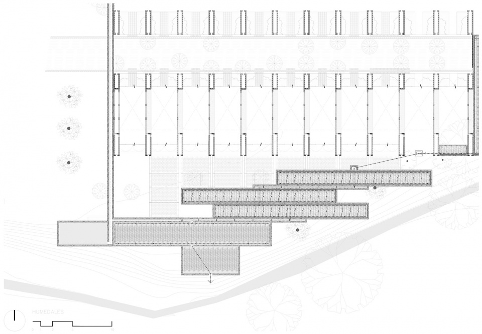 Casa de Musica Colectivo C733