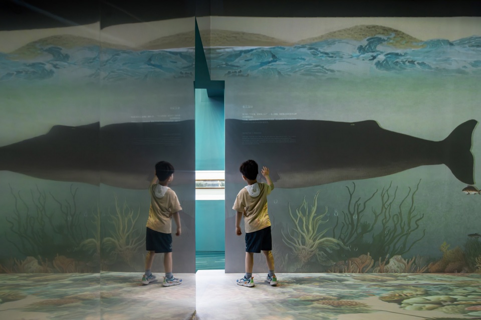 shenzhen fisheries development planning and construction exhibition zigeng wang