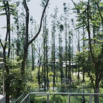 东原印未来，重庆 / SED新西林