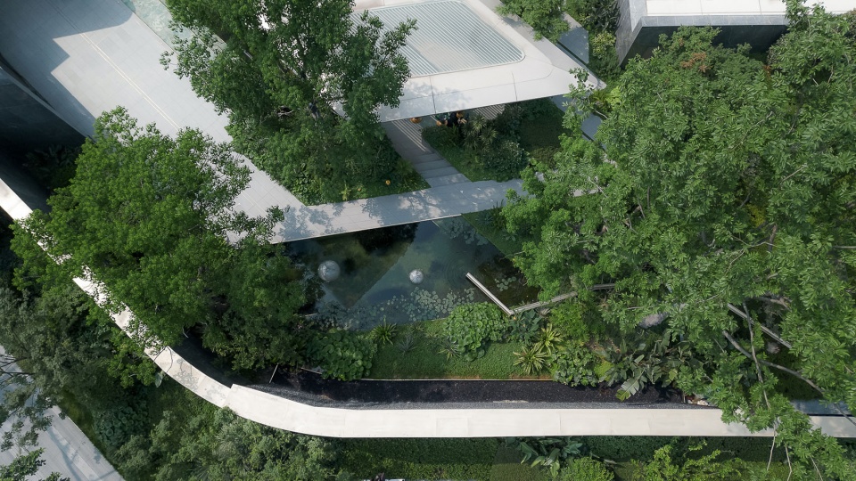 chengdu chenjia jiabaidao by wtd weitu