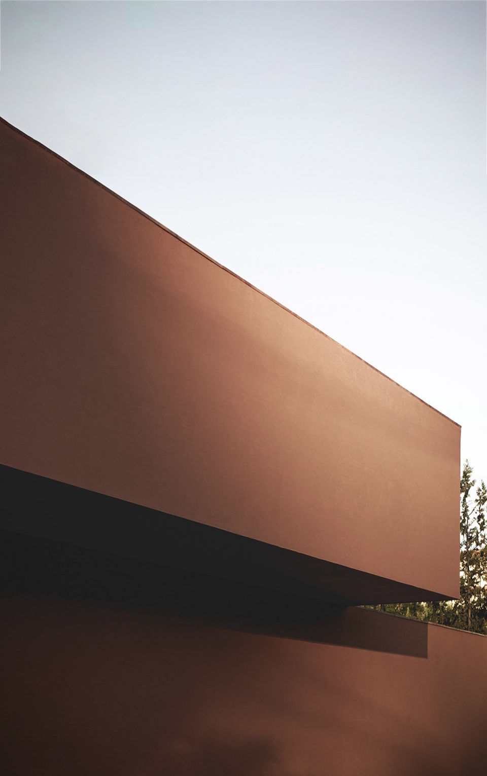 the olive grove house by balzar arquitectos