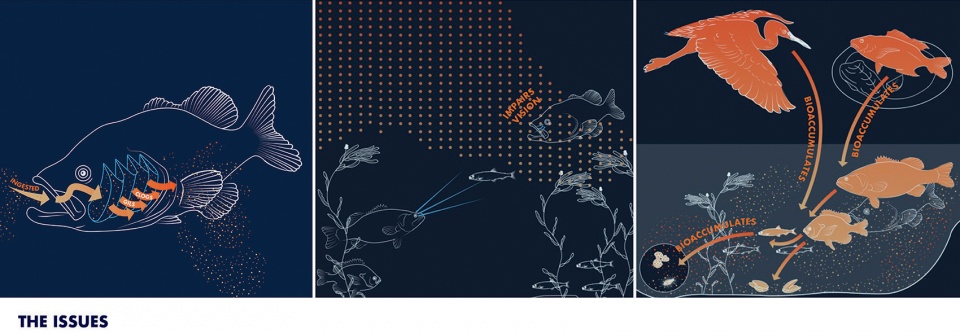 2022 asla research award of honor curbing sediment a proof of concept halina steiner ryan winston