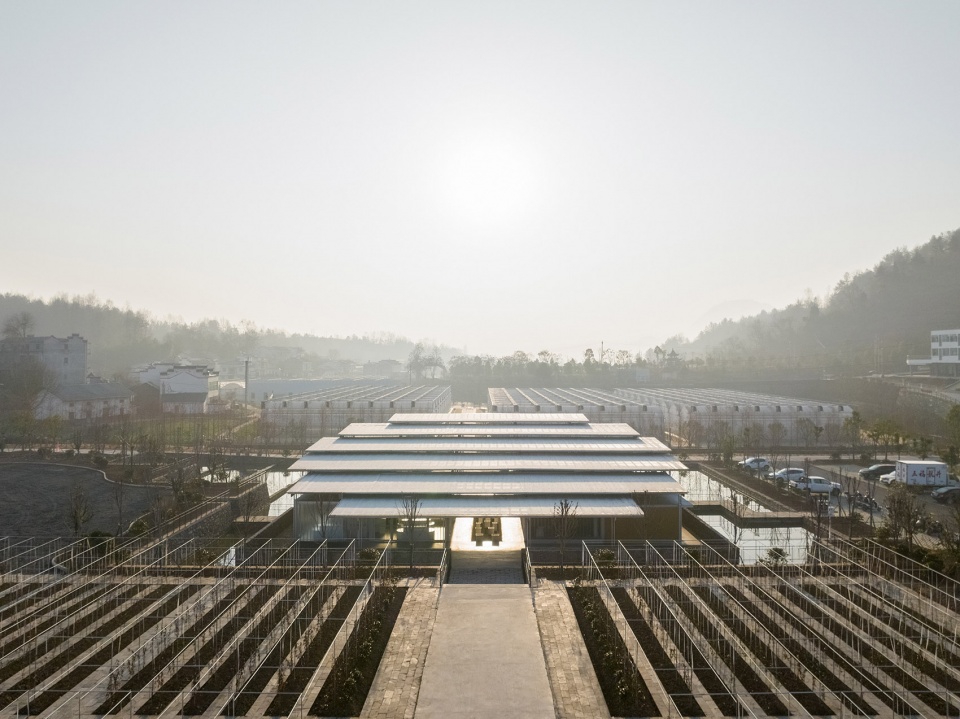 五福龙井农产品展示中心,湖北 / 小写建筑事务