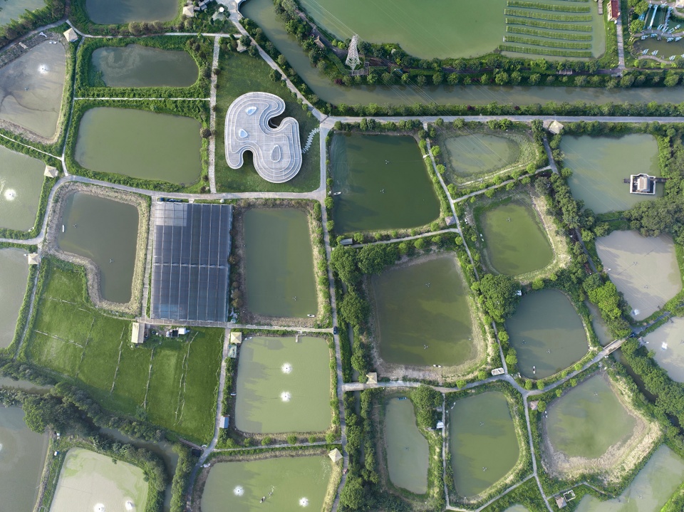 the ripple nanhai district freshwater fish industry technology demonstration and promotion center by wutopia lab
