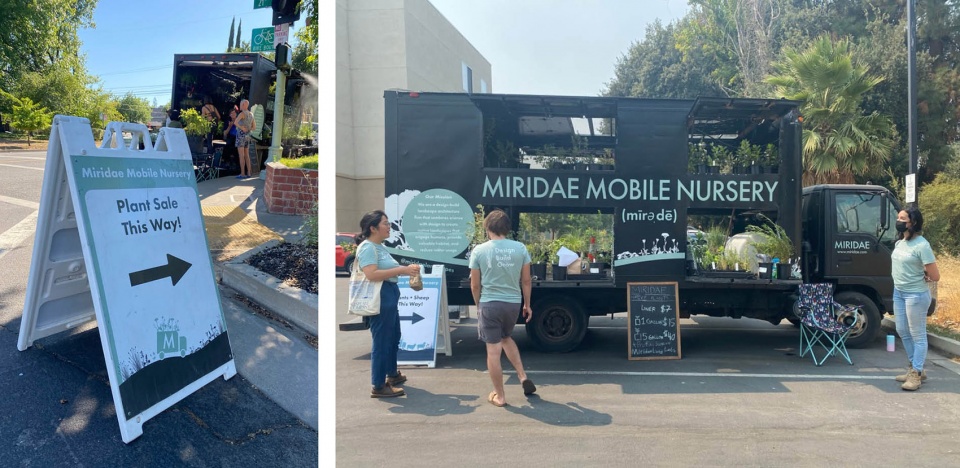 2022 asla communications award of honor miridae mobile nursery growing a native plant community