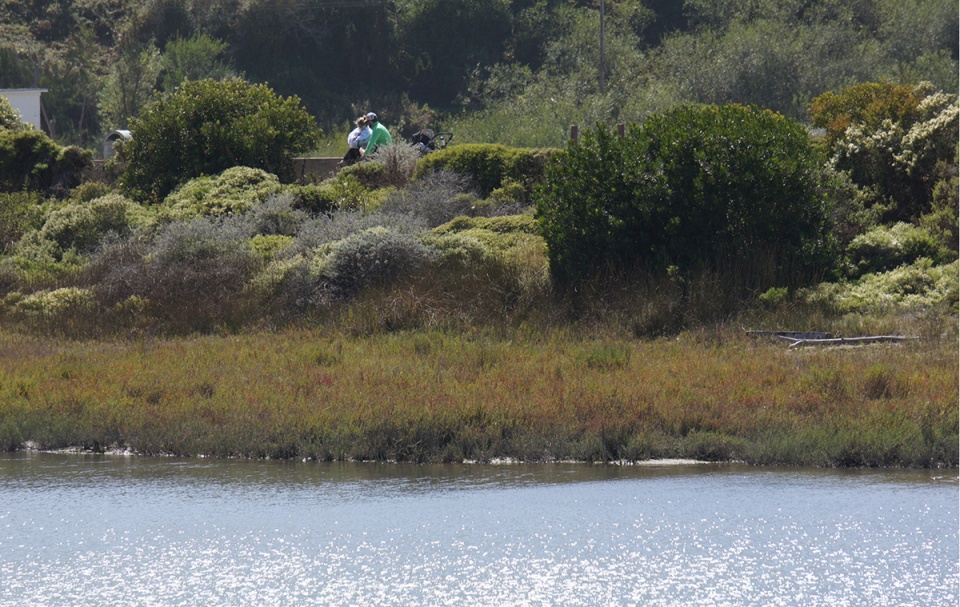 2022 asla landmark award crissy field an enduring transformation hargreaves jones