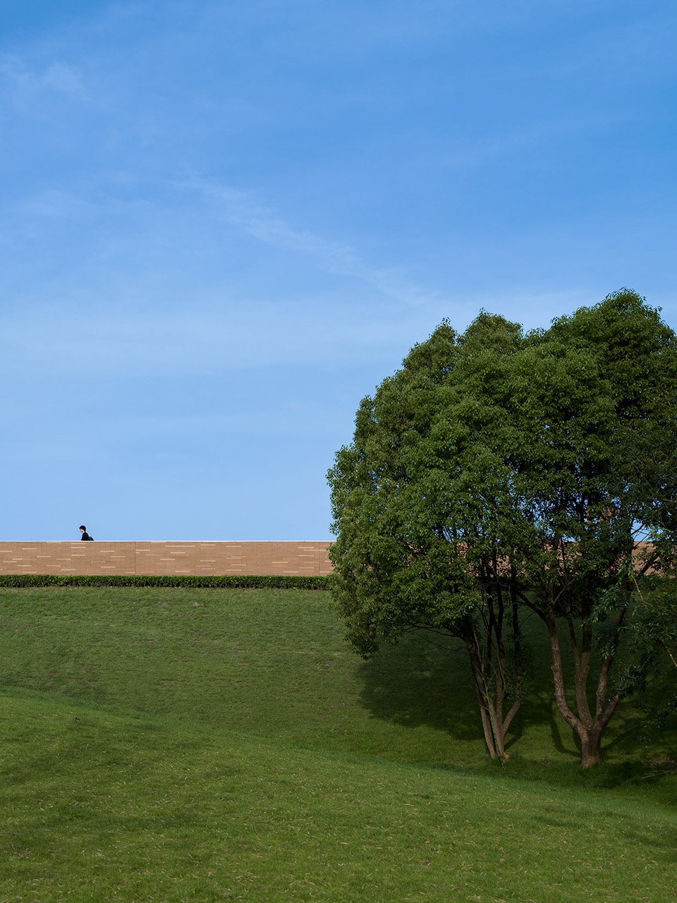 舒展的堤坝Stretched Dam ©️王宁