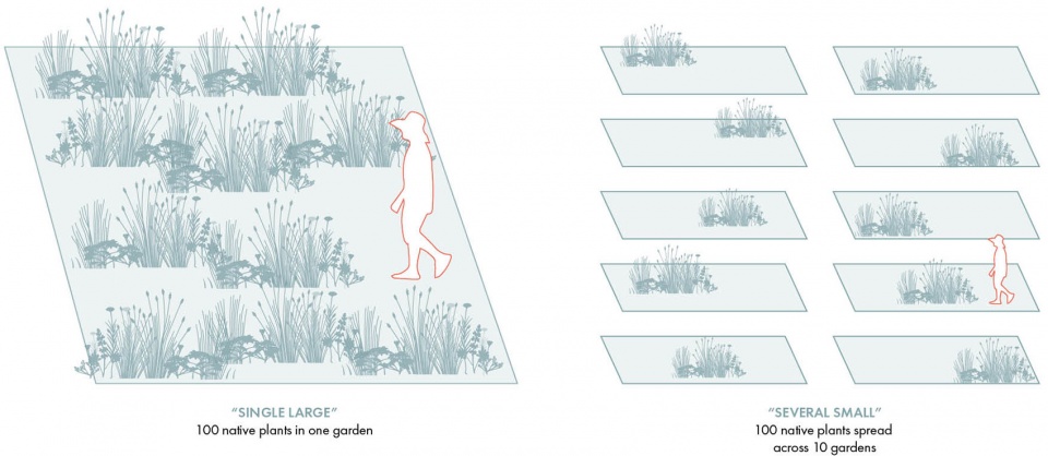 2022 asla communications award of honor miridae mobile nursery growing a native plant community